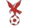 https://img.gangaopai.com/img/football/team/4802d26df935b78bb2fcdbbff36e8864.png